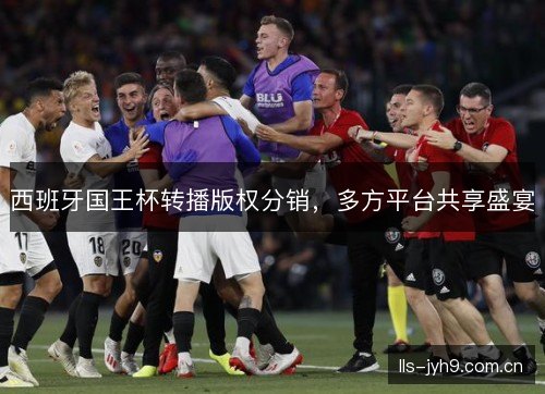 西班牙国王杯转播版权分销，多方平台共享盛宴