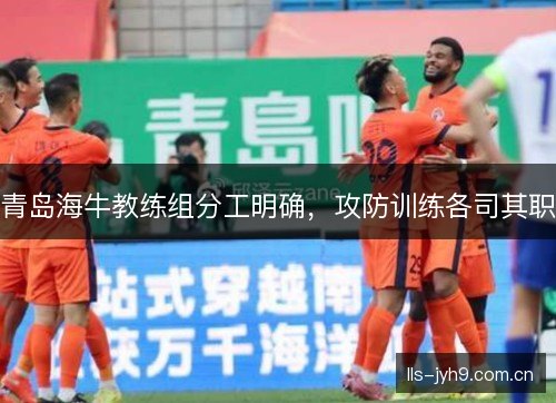 青岛海牛教练组分工明确，攻防训练各司其职